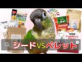 【インコの餌】シードのみは危険⁉︎ペレットを勧める理由と与える際の注意点
