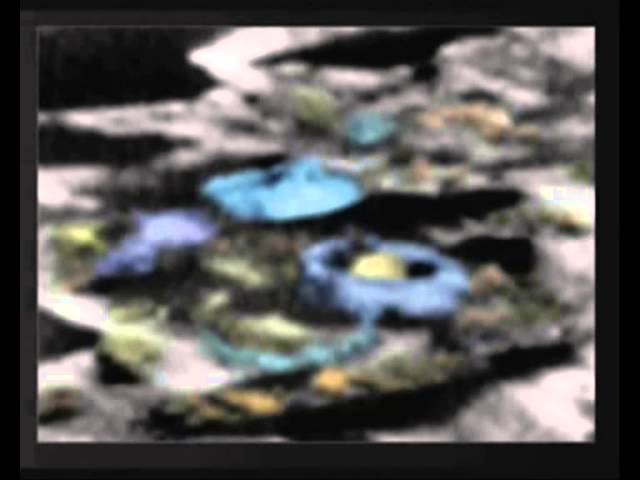 The Moon Anomalies
