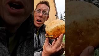 Cooking fresh bread over campfire #outdoorcooking #outdoors #camping