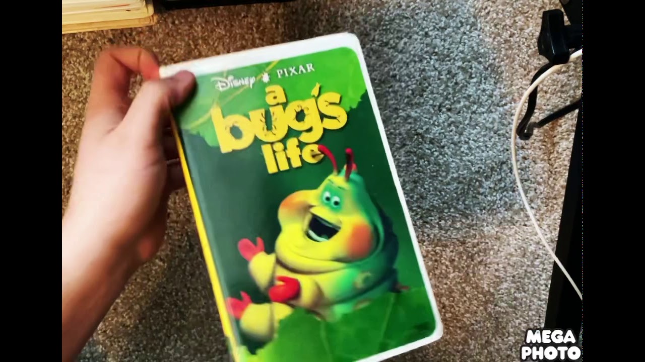 My Favorite Movie VHS Collection (2021 Edition) YouTube