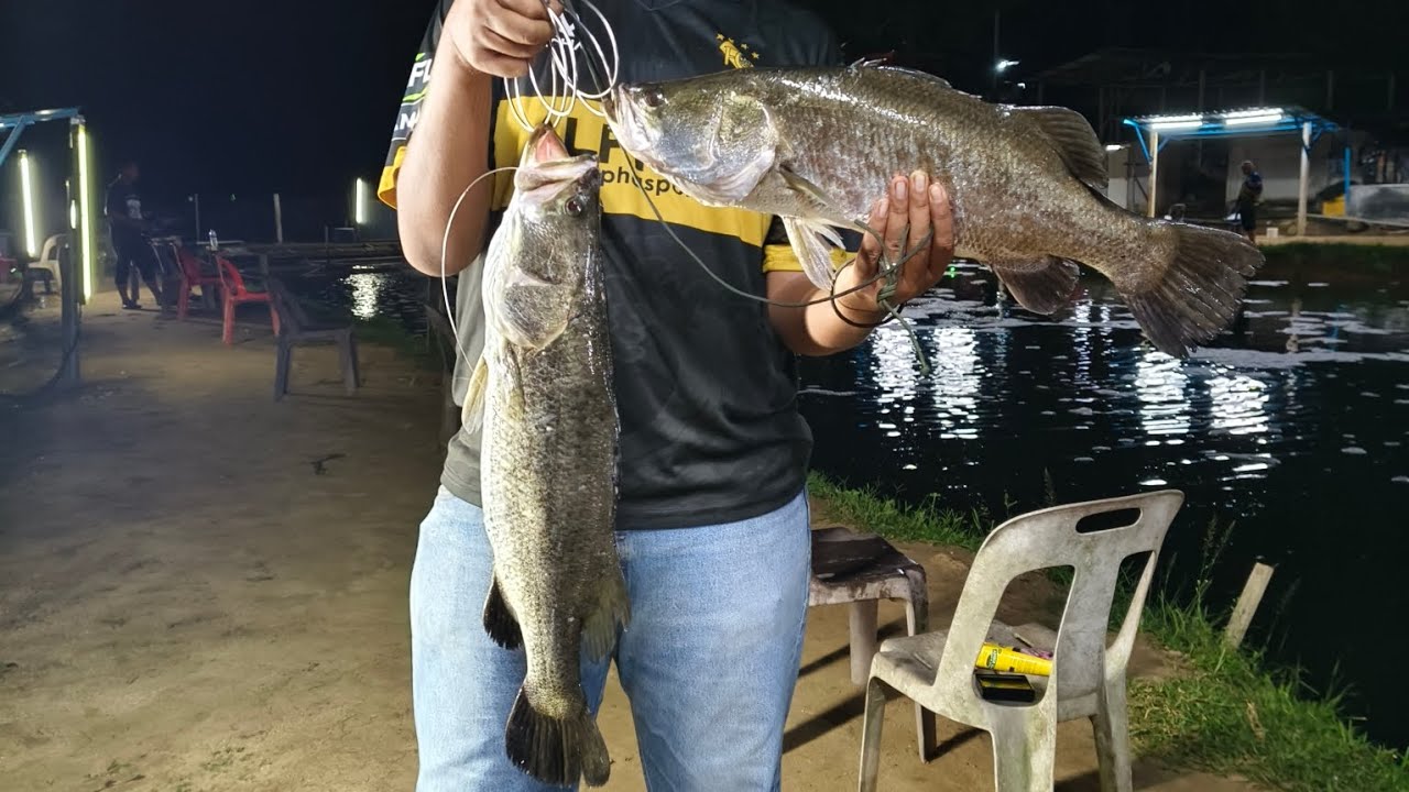 KOLAM PANCING JIMAH BARU..PADU KE TAK PADU?