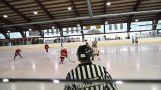 Great Neck Bruins vs. Aviators