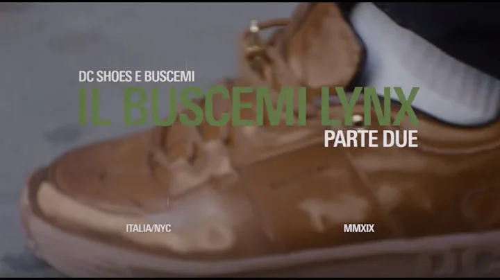 DC SHOES : BUSCEMI PT2
