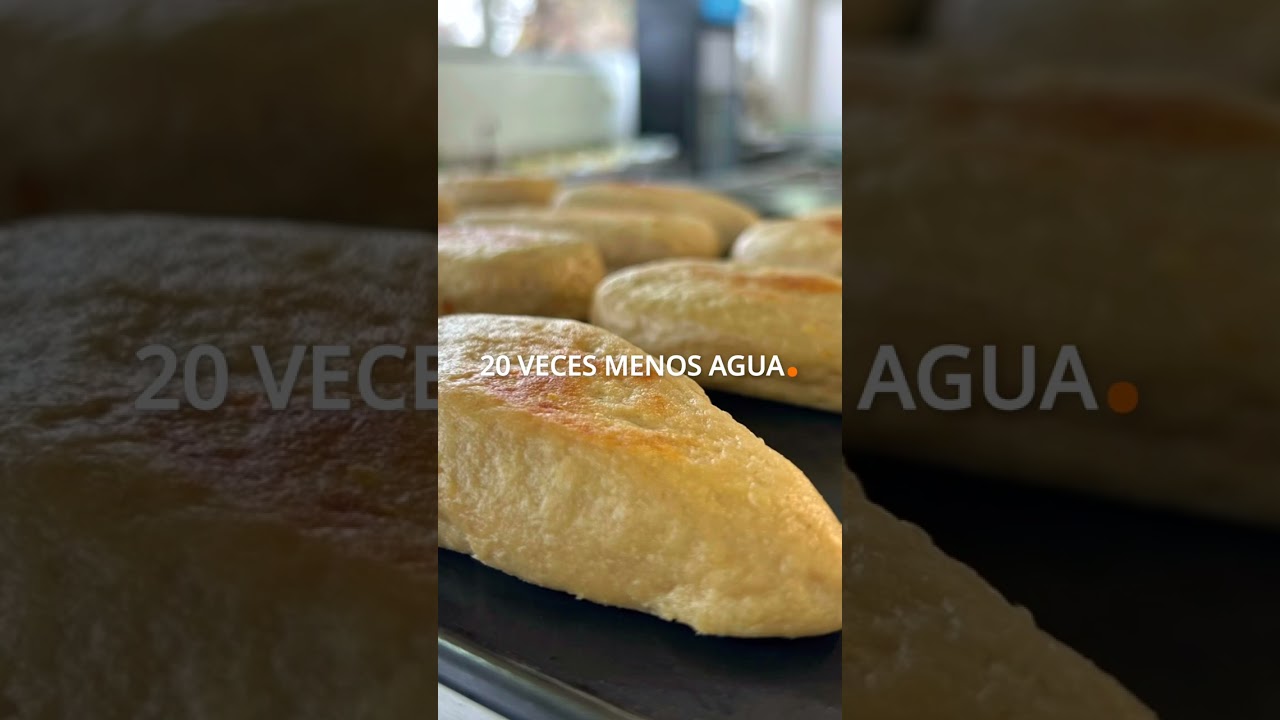 MICO: Proteína de Micelio - Done Properly