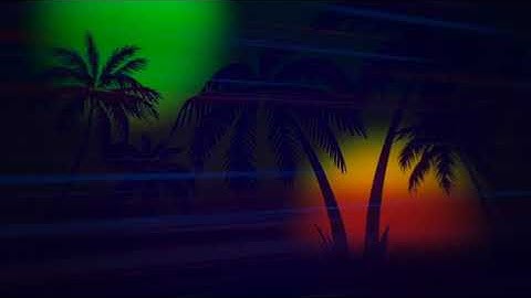 Free Video Footage No Copyright Palm Trees In Night