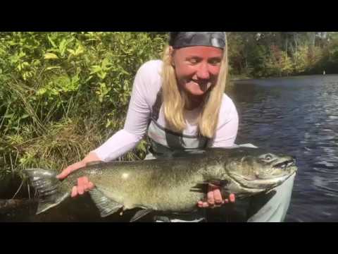 Easy Salmon and Steelhead Fishing Setup for Salmon River Pulaski 