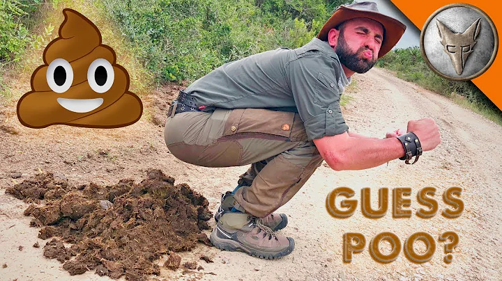 GUESS POO? ...who DUMPED it?! - DayDayNews