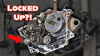 Warrior 350 Motor Tear Down & Case Split | Bearing Failure + Fix