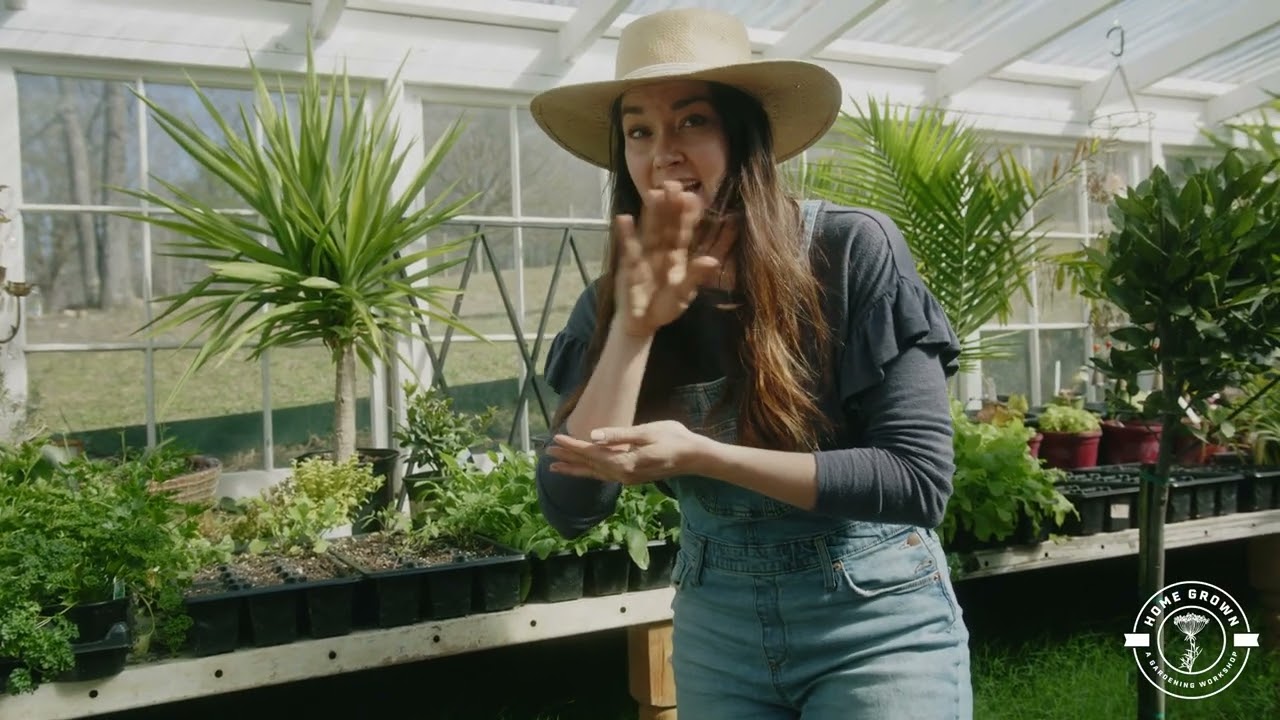 How To Improve Germination Rates