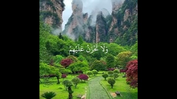 تلاوة خاشعة تريح القلب والاعصاب | القارئ اسلام صبحي | وَاصْبِرْ وَمَا صَبْرُكَ إِلَّا بِاللَّهِ ۚ