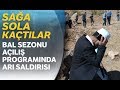 Van&#39;da bal duasında arı saldırısı! Şükür için çıktılar ama...