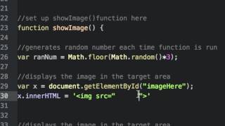ex11-randomImageArray_pt2