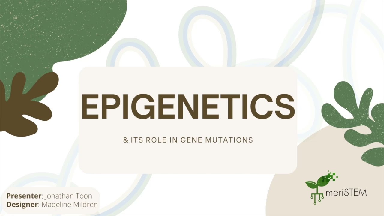 Epigenetics | DNA, genes and inheritance | meriSTEM