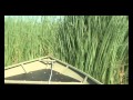 Самодельная лодка джон бот ( Handmade jon boat)