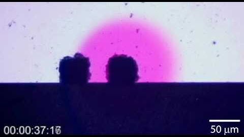 Delivery of minimally dispersed liquid interfaces for sequential surface chemistry