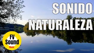 Música y sonidos de la naturaleza para meditar y reflexionar en cualquier momento | Música Zen