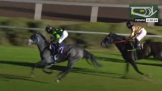 Vidéo de la course PMU PRIX STACCATO (2008)