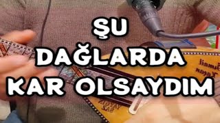 ŞU DAĞLARDA KAR OLSAYDIM Resimi