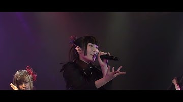 Jason Kui & 乙女新夢 - Squeaky Switch