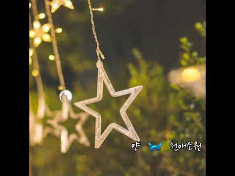 #얀  ➿  천애소원 (가사)