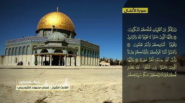 غسان الشوربجي سورة الأنفال
