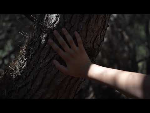 Mika Male - Nitko ne gubi (Official Video)