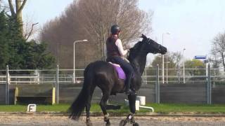 Adelin Les 14042016