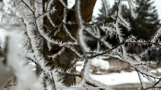 Winter phenomenon of frost