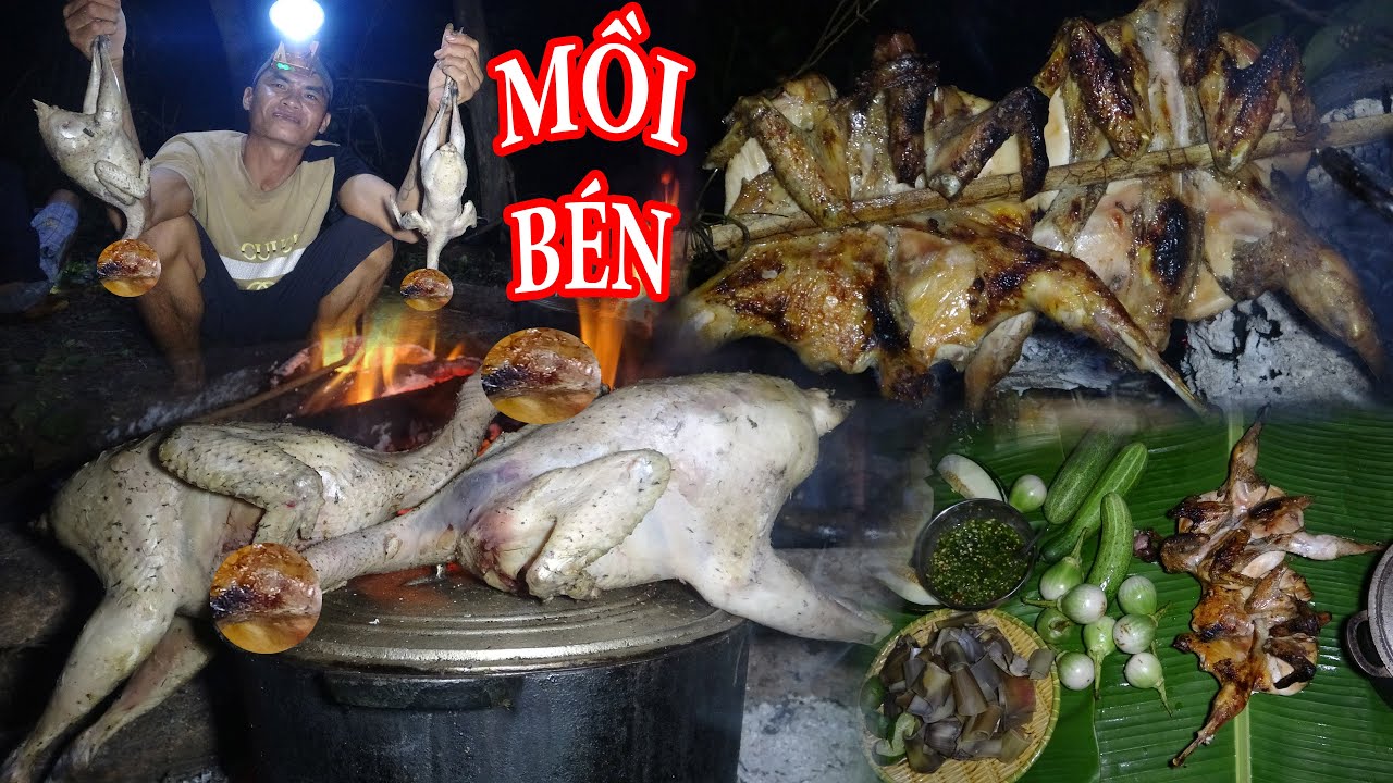 SĂN GÀ RỪNG MIỀN NÚI, MÓN GÀ RỪNG BÉO NGẬY - T4