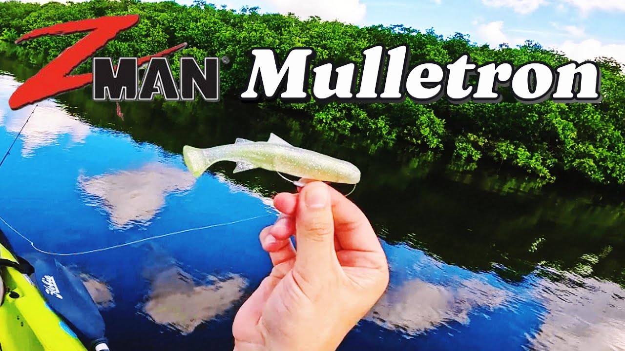 Fishing Tampa Bay Mangroves With The Z Man Mulletron Youtube