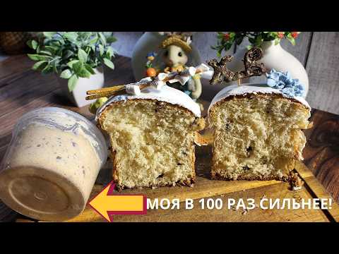 СВОЯ ЗАКВАСКА в 100 раз СИЛЬНЕЕ ПОКУПНОЙ! 🥖🧬 Левито Мадре за 5 дней. Успейте к Пасхе!