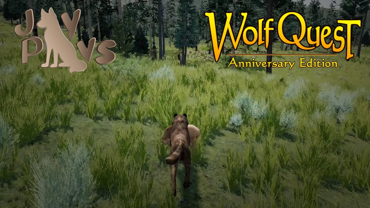 WolfQuest: Hurricane's Quest #14