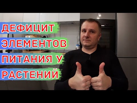 Основные причины нехватки элементов питания у растений. Минеральное питание растений. Анализ почвы.