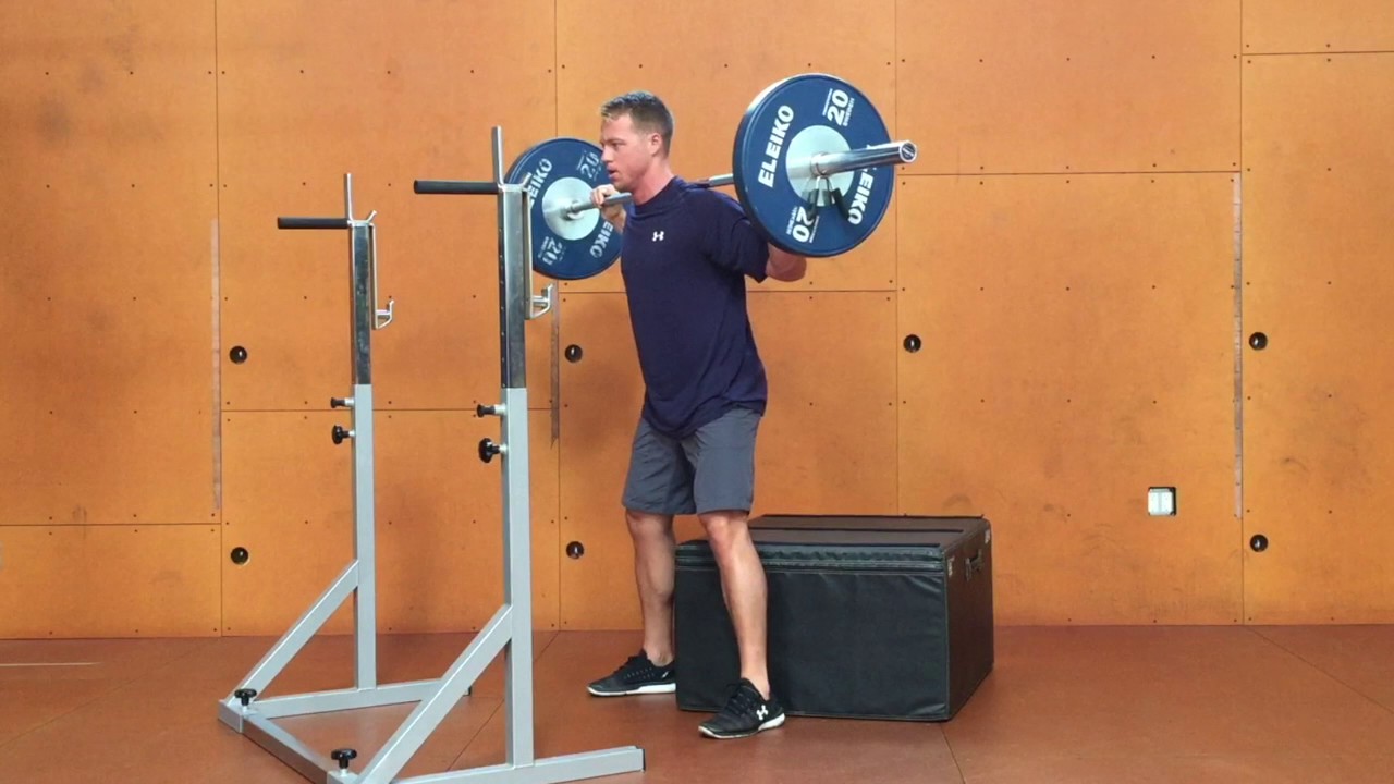 Barbell Box Squat camera iphone 8 plus apk