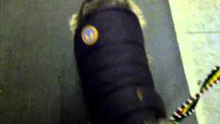 VID-20110222-00001