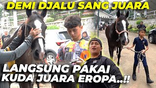 KUDA JUARA DARI EROPA SIAP2 TURUN LAPANGAN BARENG DJALU..!!