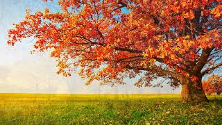 Ankhiyon Ke Jharokhon Se hemlata By sumonabanerjee