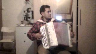 Ships are sailing   Irish Accordion Reel