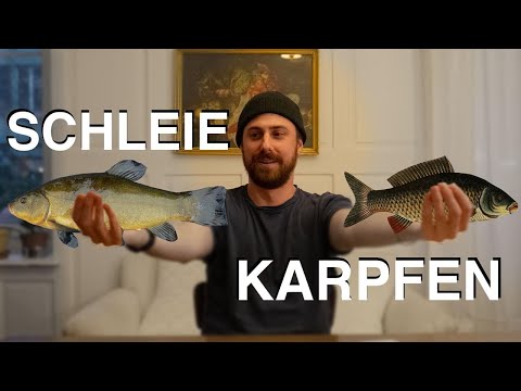 Aquaponik-Fische: Karpfen und Schleien statt Tilapia!