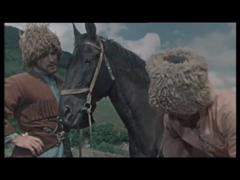 ცხენის თხოვება 🚫