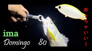ima Domingo80 最高のルアーだった!