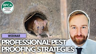 Professional pest proofing strategies