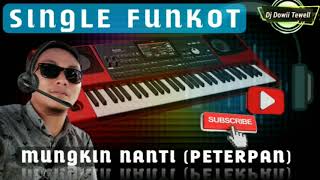 DJ MUNGKIN NANTI (PETERPAN) 