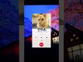 【TikTok】親友に犬系彼女やってみた！【チヤホヤ】