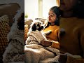 Small dog rescue ai || #dog #animals #rescue #dogshorts #dogs