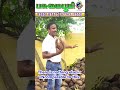 இந்த ரகத்துக்கு இணை எதுவுமே இல்லை❗🌴