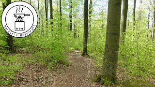 Wanderung im Frühlingswald mit Quellensuche | Martin´s Bushcraft