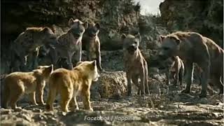 Story WA - SINGA ( Jangan Meremehkan Orang Kecil )