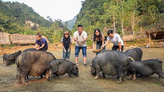 World's First Discovery Vlog To Visit Ly Thi Ca Farm & Residence