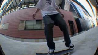 Sean Smith Motive Skateboards Dimensions